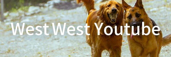 West West Youtube
